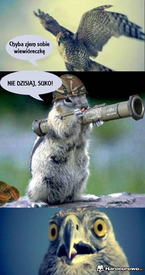 Nie tym razem! - 1