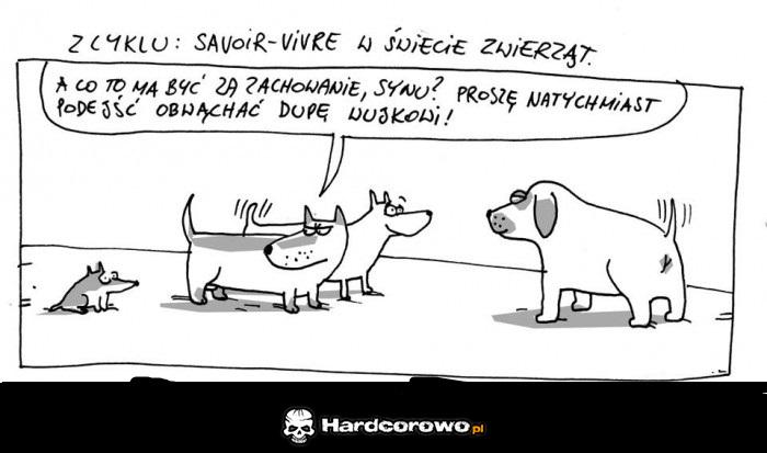 W świecie zwierząt  - 1