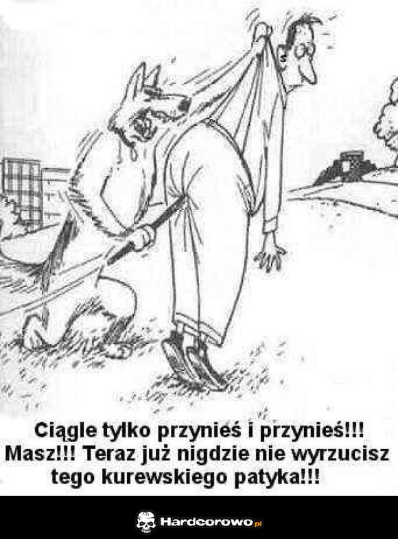 Pies się wkurwił  - 1