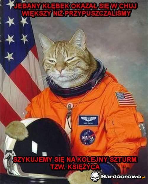 Kot kosmonauta - 1
