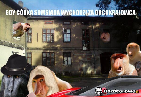 Sąsiady takie są - 1