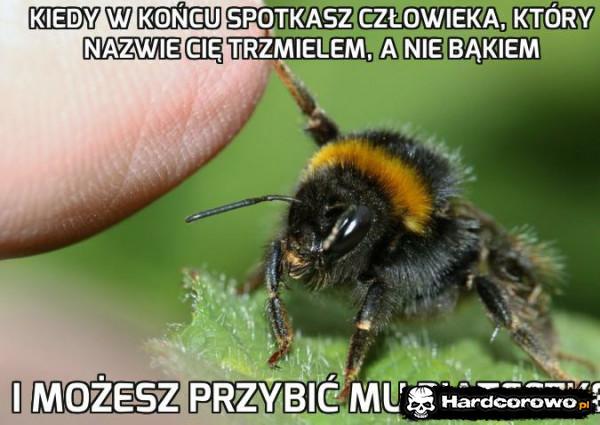  - 1