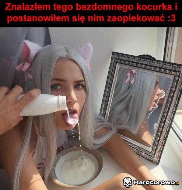 Bezdomny kocurek - 1
