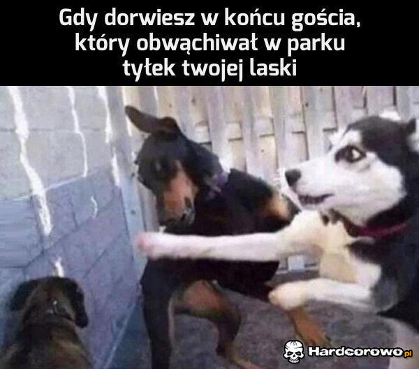 Kiedy w końcu dorwiesz tego gościa... - 1