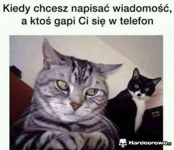 No nie paczaj - 1