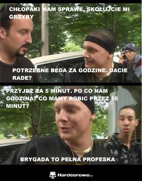 Profesjonalnie - 1