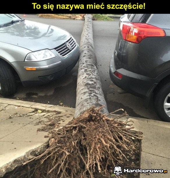 Szczęście - 1
