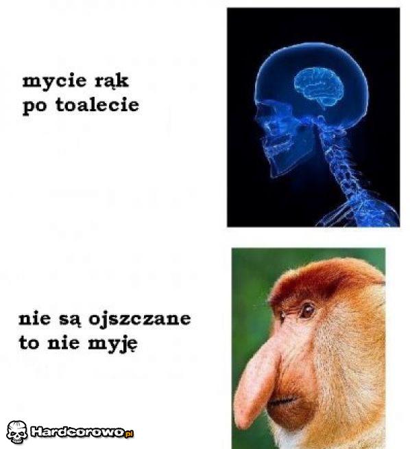 Jak funkcjonuje mózg  - 1
