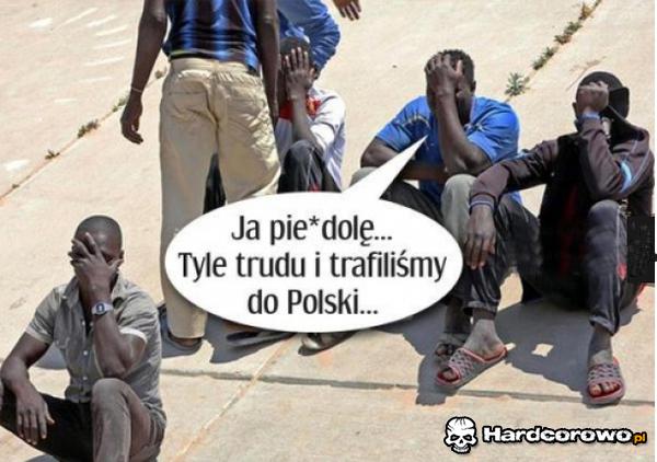 Tyle trudu - 1