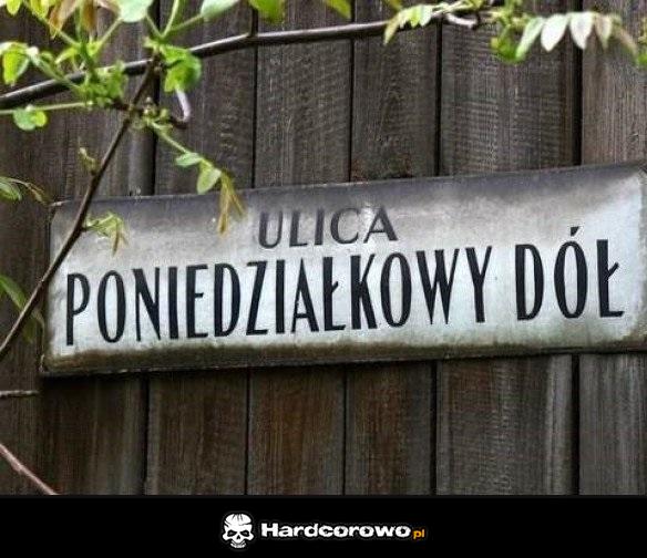 Poniedziałek - 1