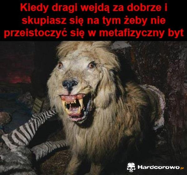 Kiedy dragi wejdą - 1