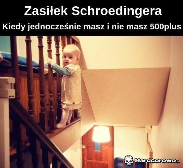 Zasiłek Schroedingera - 1