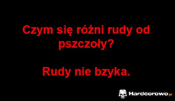 Rudy - 1