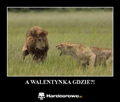Wkurwiona partnerka - 1