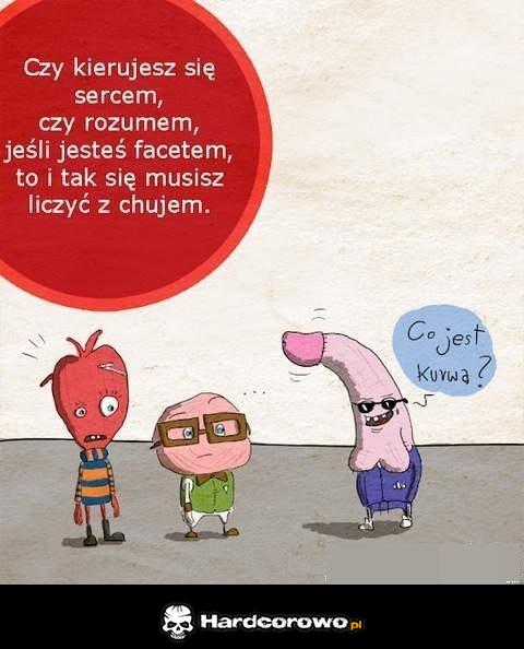 Czym się kierujesz? - 1