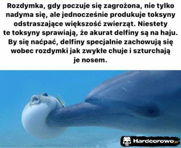  - 1