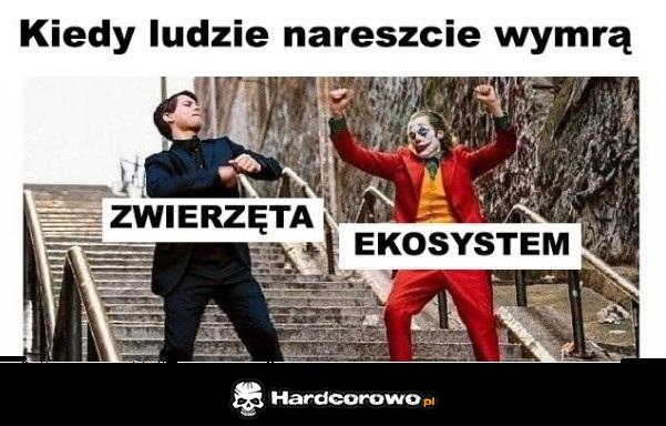 W końcu równowaga - 1