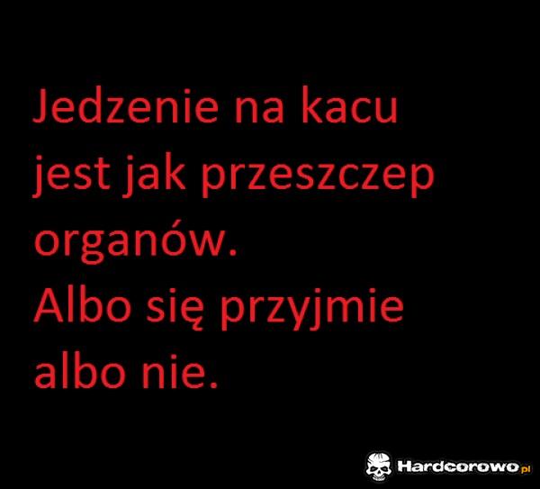Jedzenie na kacu - 1