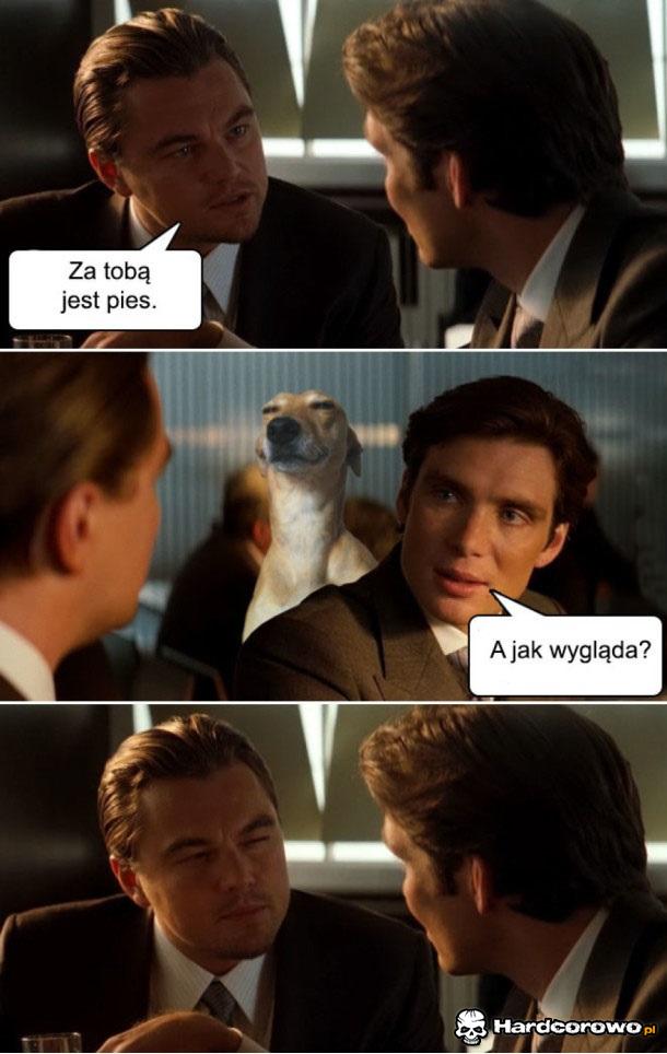 Wytłumaczone - 1