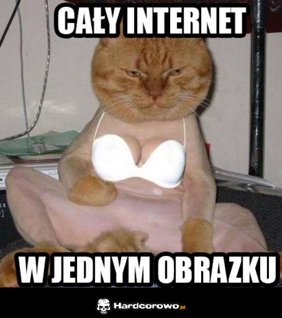 Internet w pigułce - 1