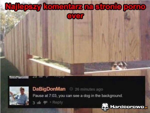 Najlepszy komentarz - 1