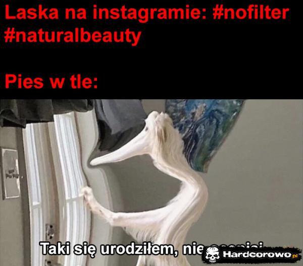  - 1