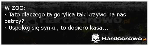 Gorylica - 1