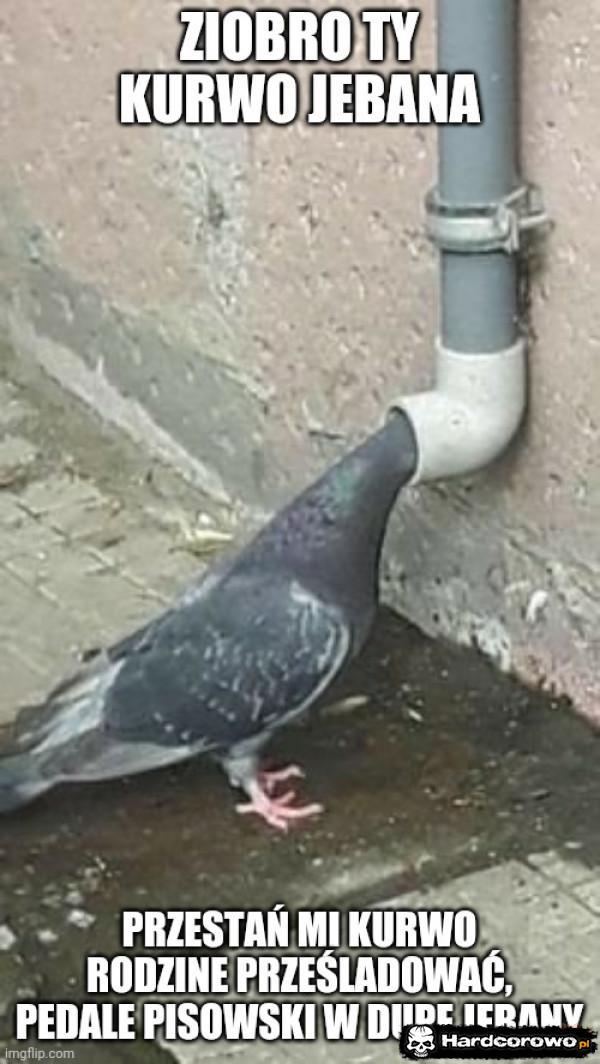  - 1