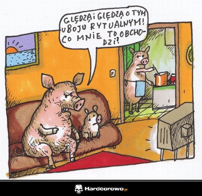 Ubój rytualny  - 1