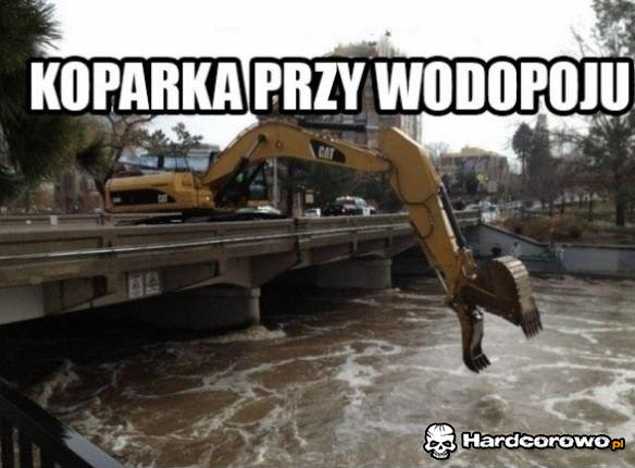 Koparka - 1