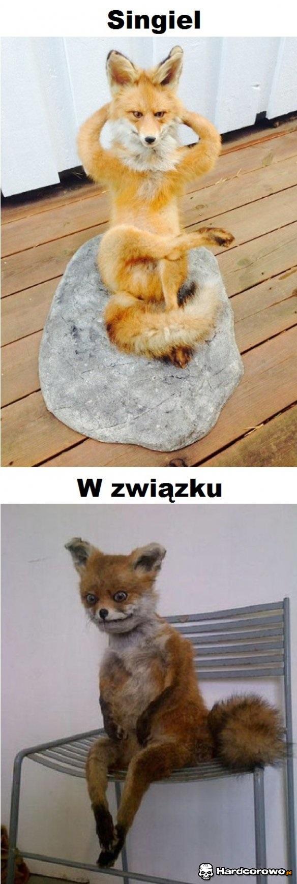 Singel a w związku - 1