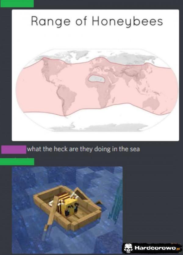  - 1