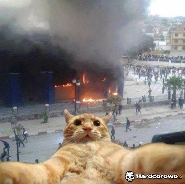 Selfie - 1