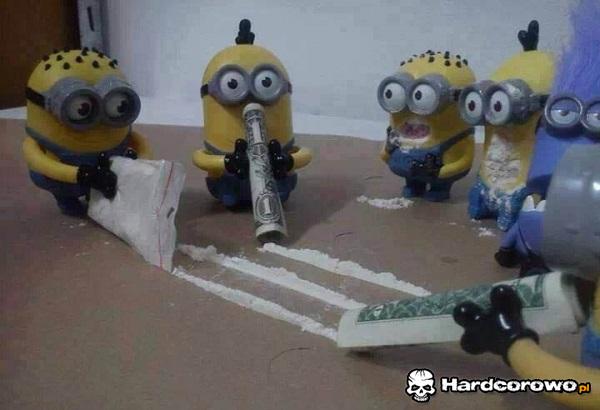Minionki rozrabiajo - 1