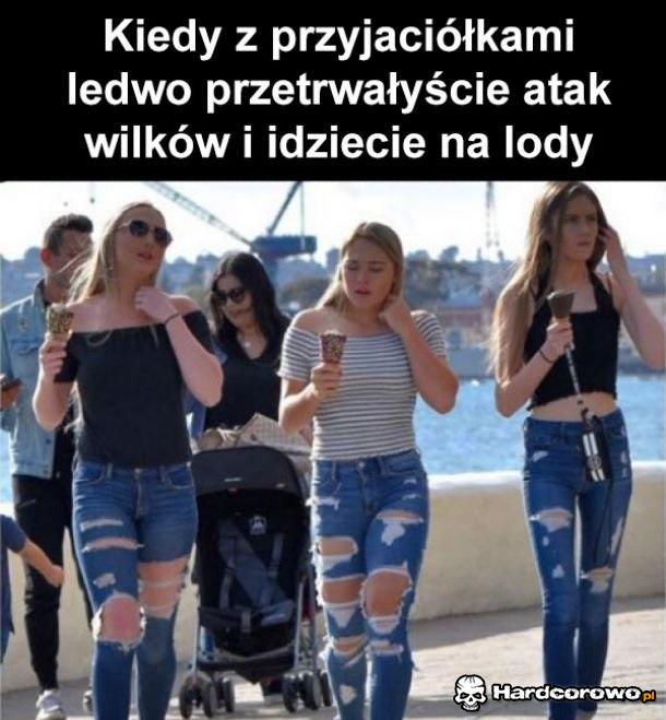 Lody po ciężkiej akcji - 1