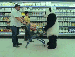 Panda w markecie - 1