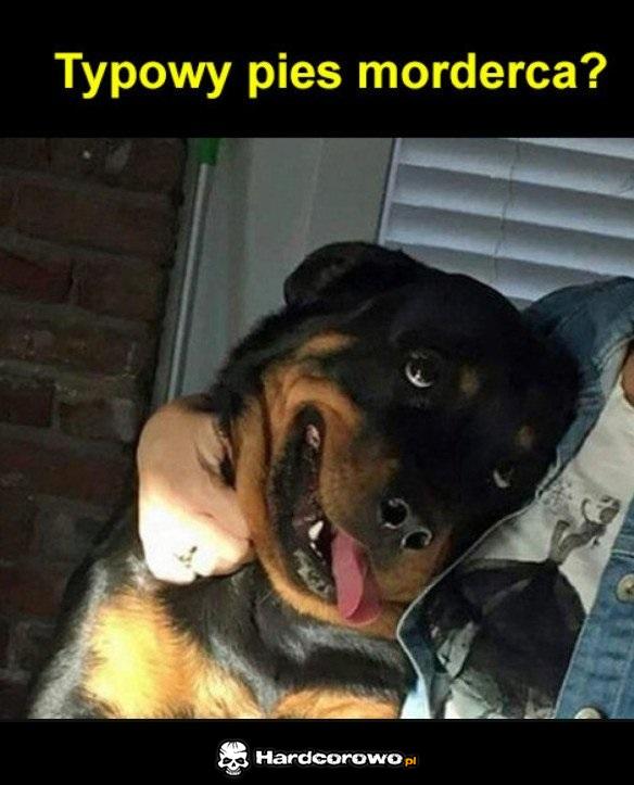 Typowy morderca - 1