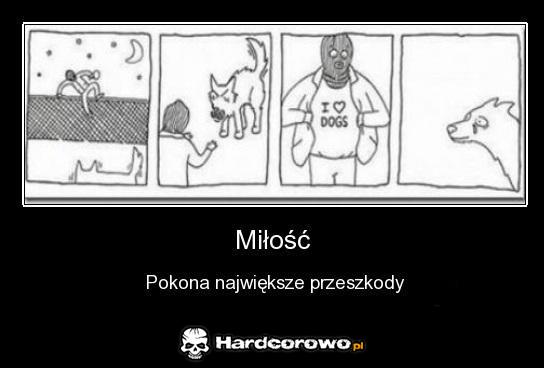 Miłość  - 1