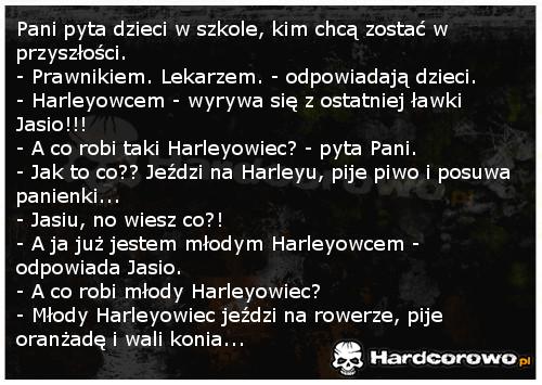 Harleyowiec - 1