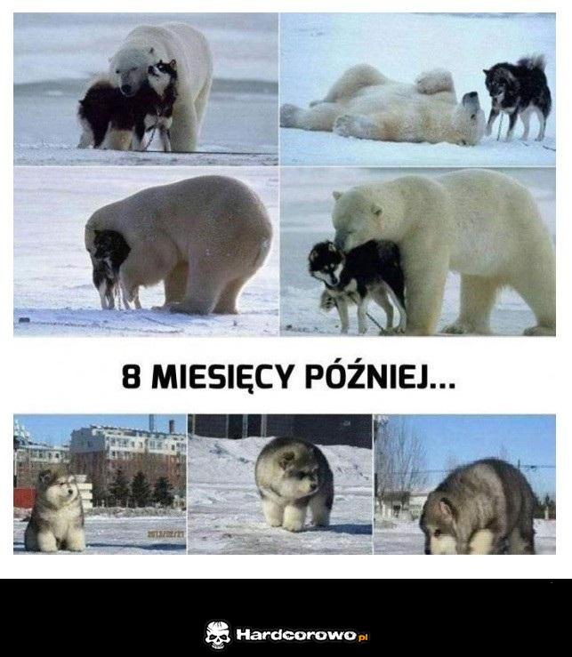 8 miesięcy później - 1