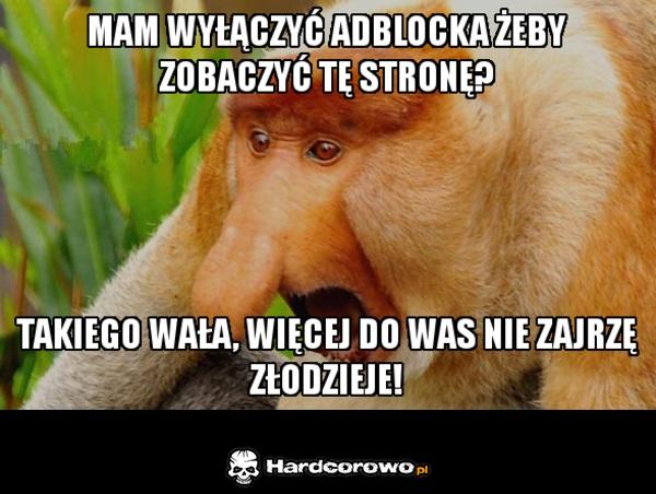 Adblok bez wyjątków - 1