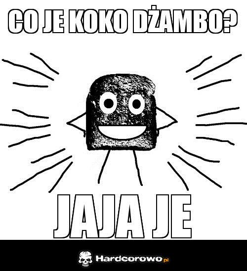 Co je koko dżambo? - 1