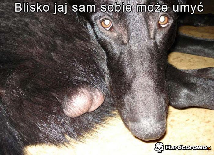 Blisko jaj  - 1