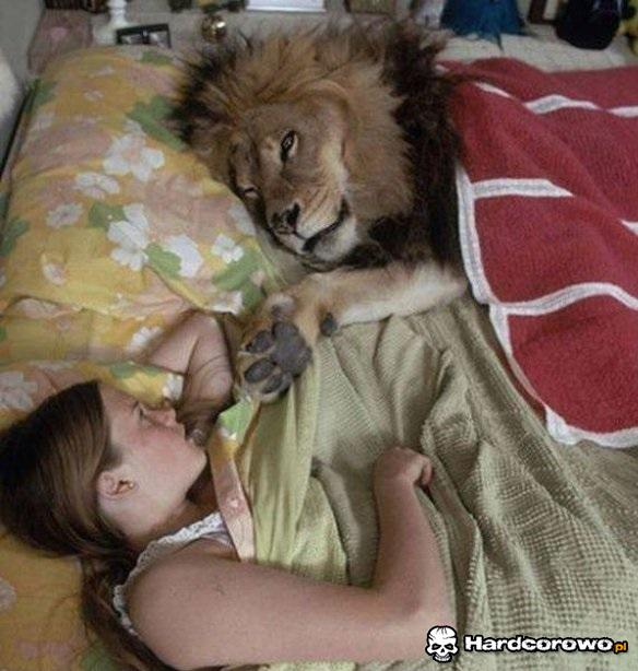Z kociakiem w łóżku - 1