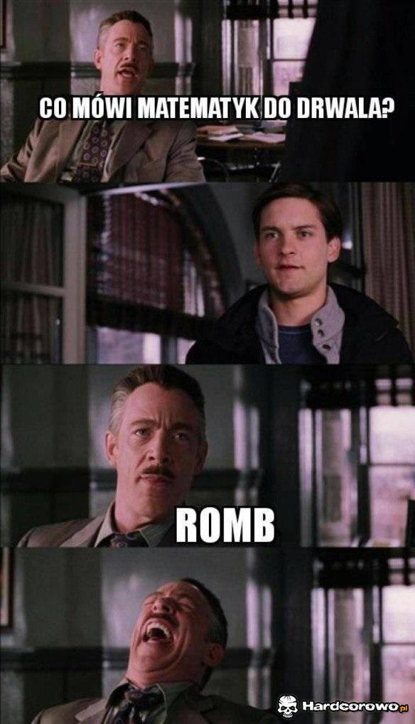 Drwal i matematyk - 1