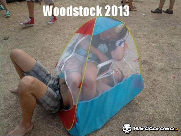 Woodstock 2013 efekty po imprezowe - 1