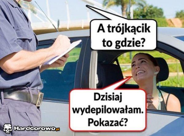 Laski takie są - 1