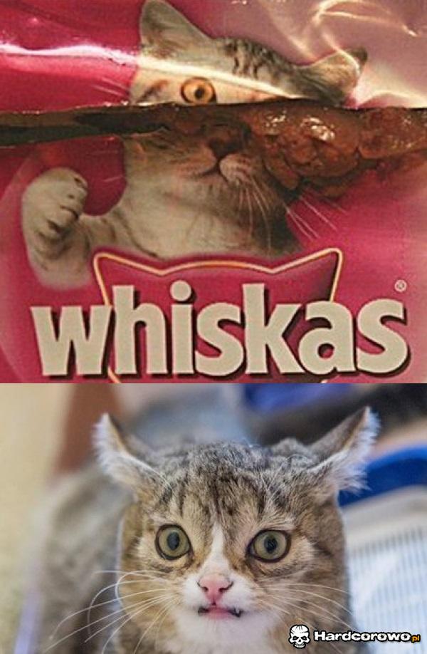 Whiskas - 1