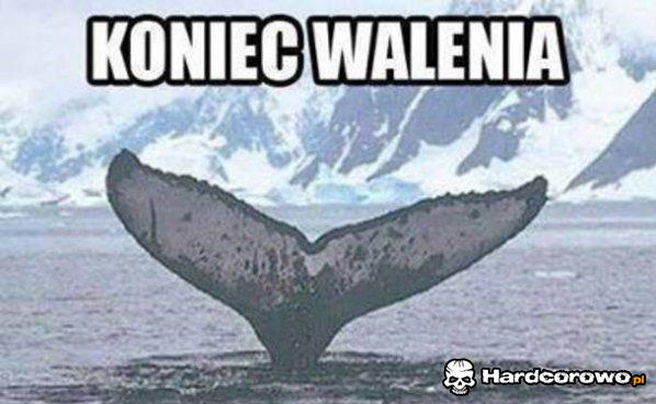 Koniec walenia - 1