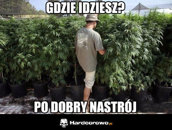 Gdzie idziesz? - 1